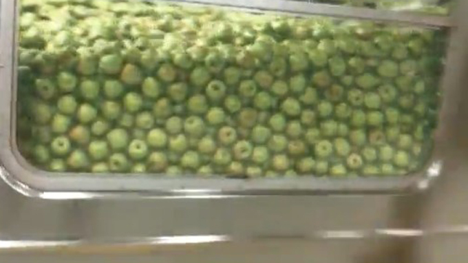 A New York : City Harvest, c'est 600 centres à New York et 500 000 pommes dans le métro