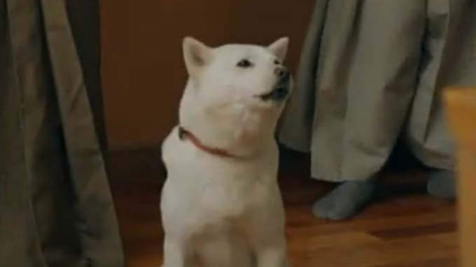 Le chien blanc, patriarche japonais de la pub Softbank