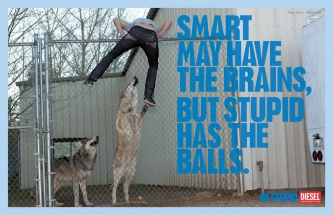''Smart may have the brain, stupid has the balls'' : les intelligents ont peut-être les cerveaux, mais les idiots ont les c...