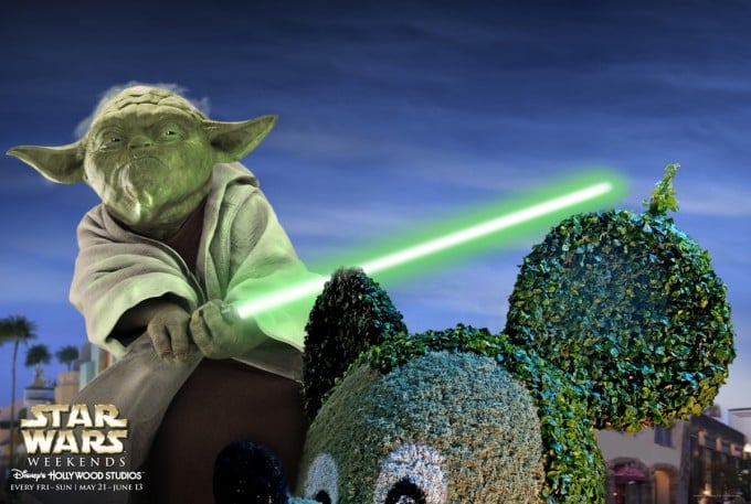 A son passage au parc Disneyand, Yoda n'oublie pas de s'occuper des haies