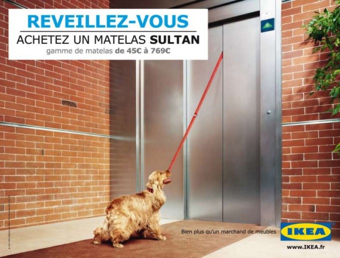 Avec un matelas Sultan Ikea, vous n'oublierez plus votre chien à l'extérieur de l'ascenseur