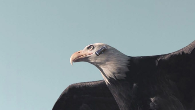 Samsung bluetooth : l'aigle, symbole des USA