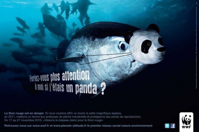 WWF thon rouge - panda
