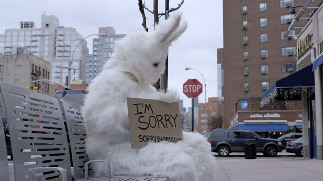 Sorry Bunny