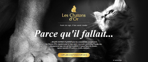 Les Chatons d'Or 2013