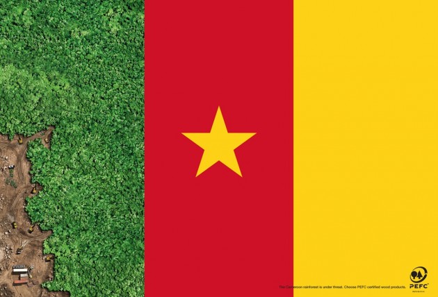 PEFC - Cameroun