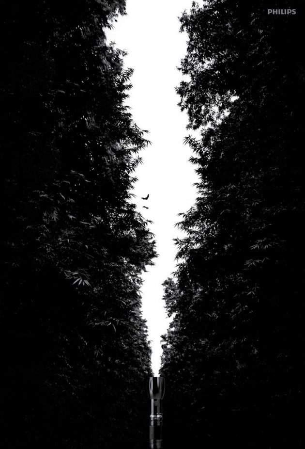 La Flishlight fend l'obscurité de la forêt