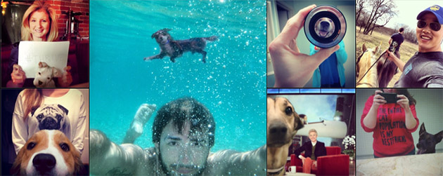 Selfies et photobombing de chiens