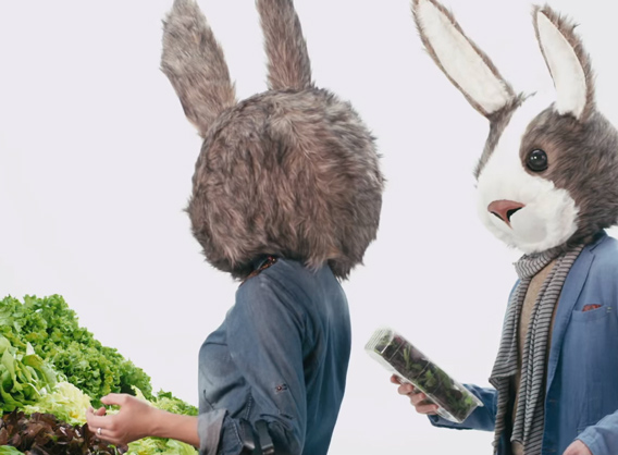 Musique de la pub Auchan « Les lapins débarquent »