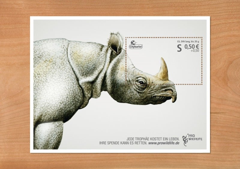 Pro Wildlife Rhino