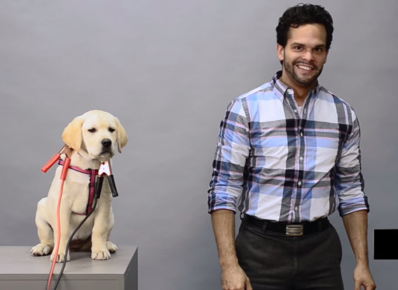 Si vous ignorez la pub en pre-roll, une agence tue un bébé chien