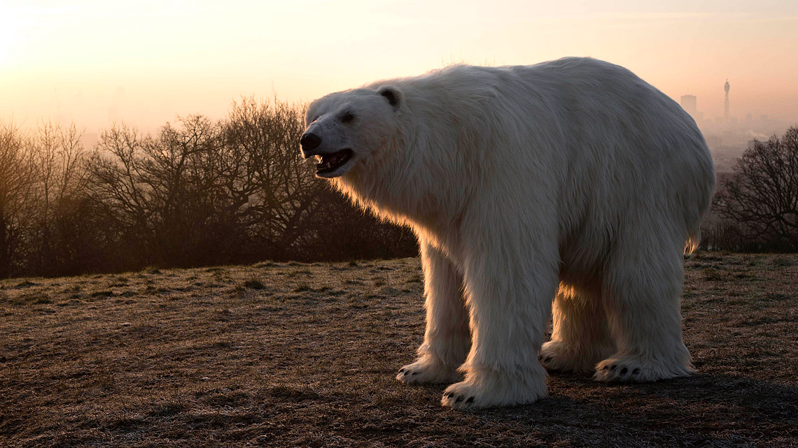 Fortitude Polar Bear 6 16x9 1