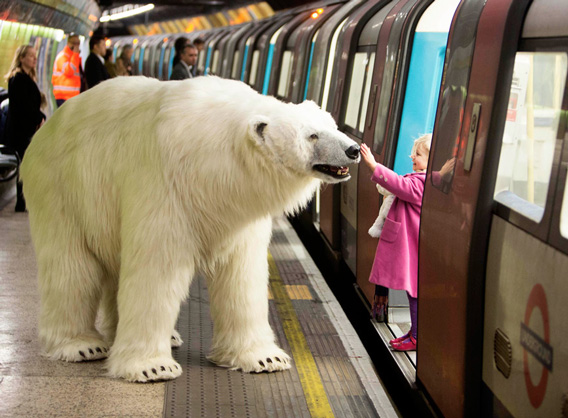 Un ours polaire se promène dans Londres