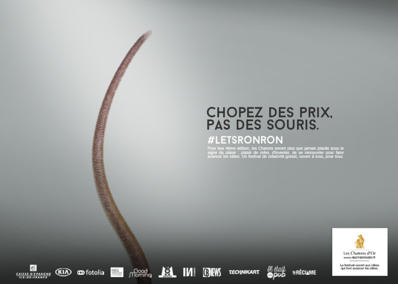 Les Chatons d'Or 2015 - Let's ronron Print 3