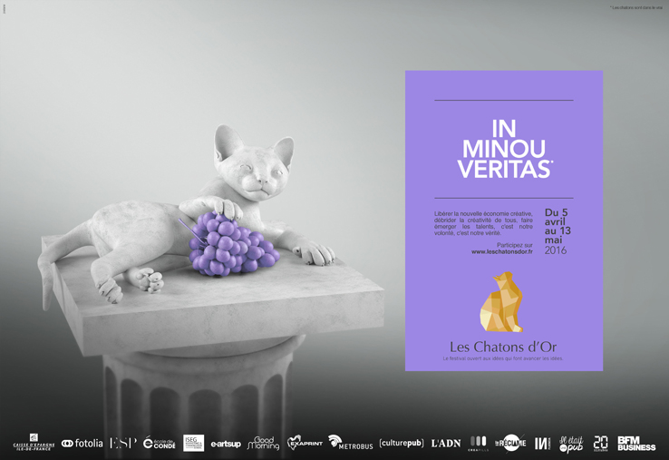 Les Chatons d'Or 2016 (3)
