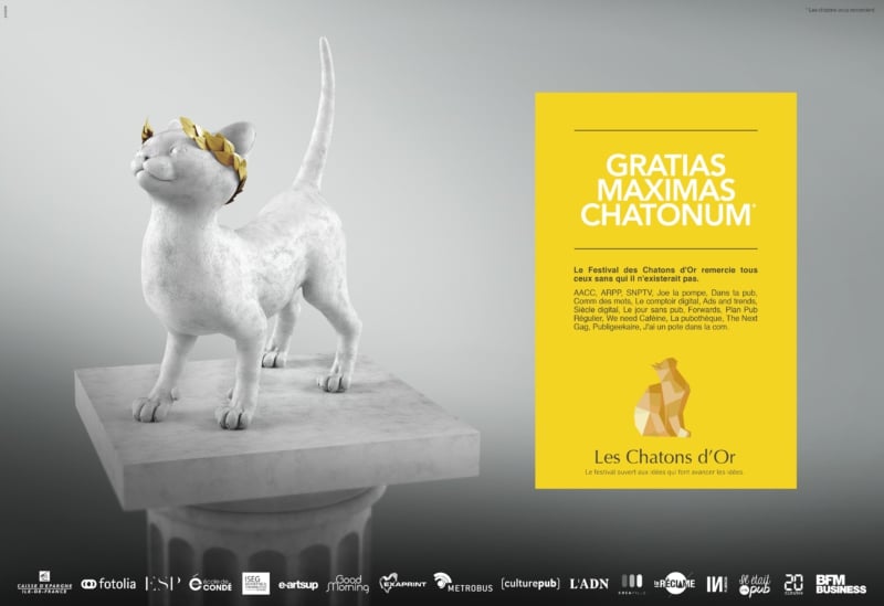 Les Chatons d'Or 2016 (7)