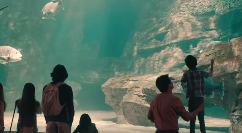 Musique de la pub Michelin « Dans les moments qui comptent » 2017
