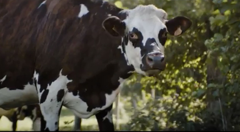 Quelle est la musique de la pub la nouvelle crème légère Elle&Vire 2018 ?