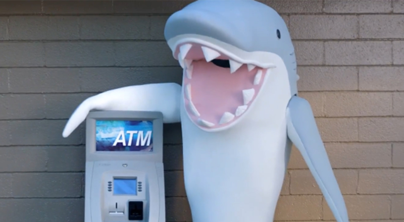 Ce requin vous attaque lorsque vous retirez de l’argent au distributeur