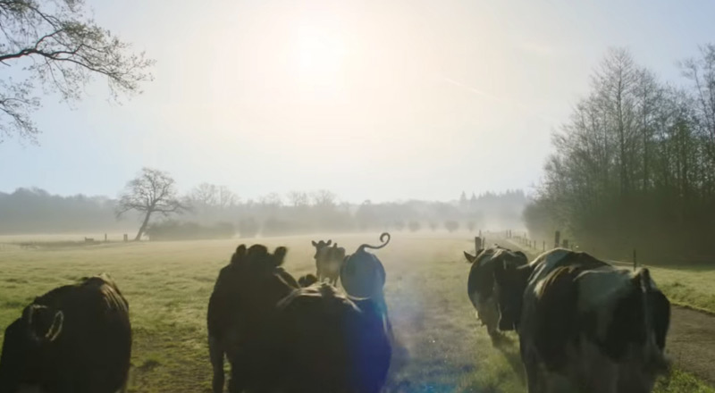 Quelle est la musique de la pub Leerdammer 2019 ?
