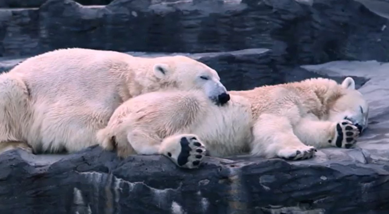 Musique de la pub Sodastream 2020