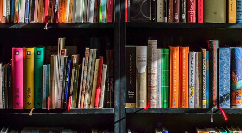 Cette libraire confinée se transforme en agence de voyages
