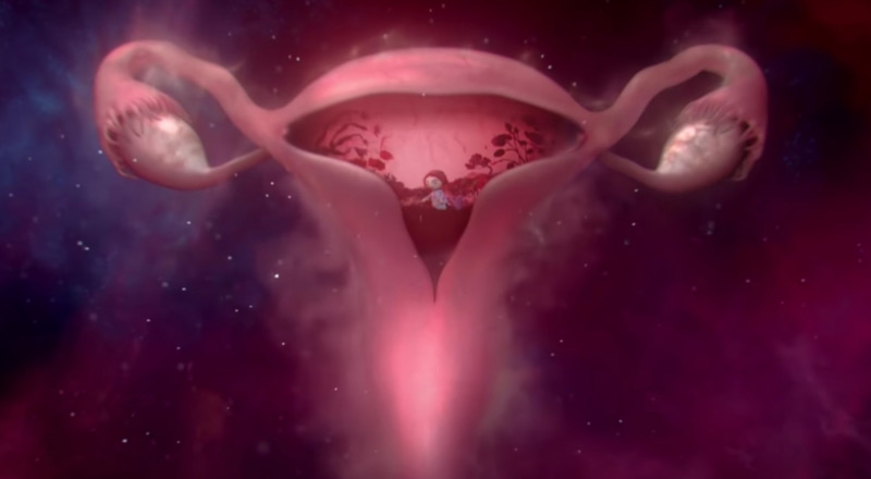 Un spot aussi sublime que brut sur l&rsquo;utérus des femmes