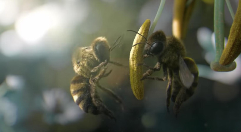 Musique de la pub Vittel 2020 : Source Naturelle de Vitalité