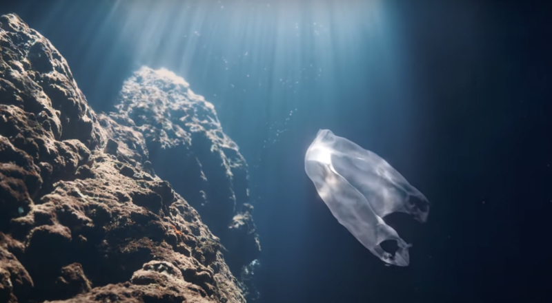 L&rsquo;océan compte une nouvelle espèce :&nbsp;le plastique