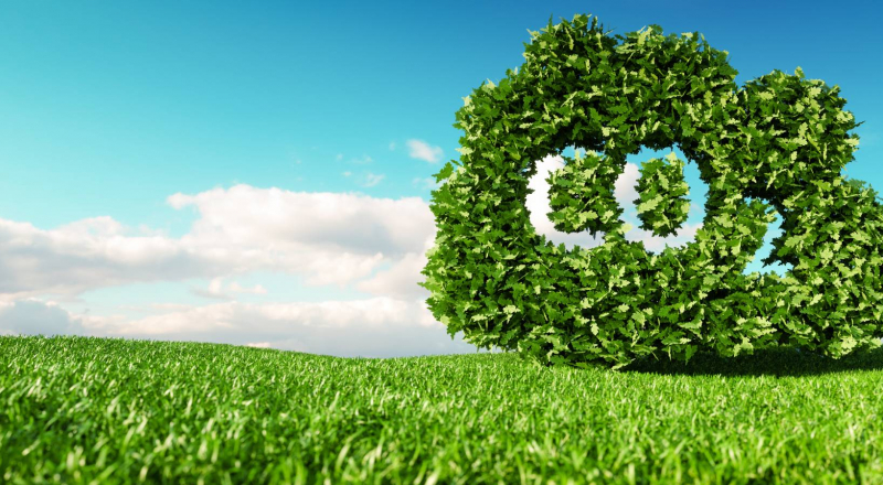 La décarbonation des campagnes, un premier pas vers une publicité eco-friendly ?