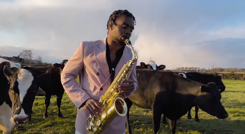 Musique de la pub Zalando 2021