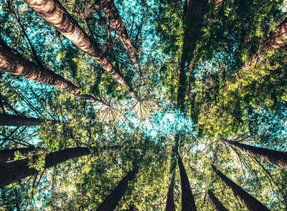 stan smith derriere noir