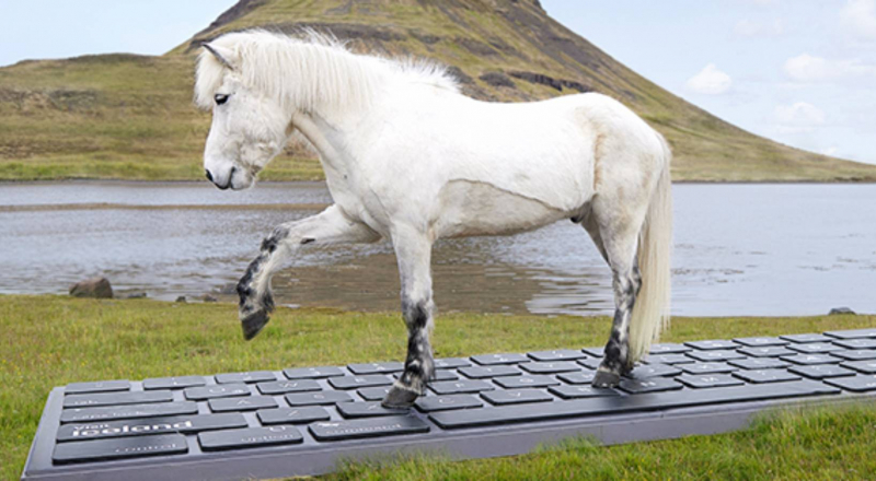 En Islande, des chevaux répondent à vos mails pros