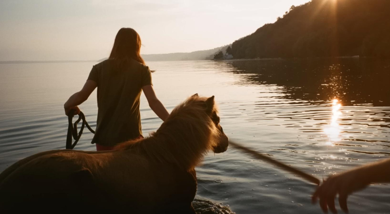 Musique de la pub Airbnb 2023 catégorie Fermes
