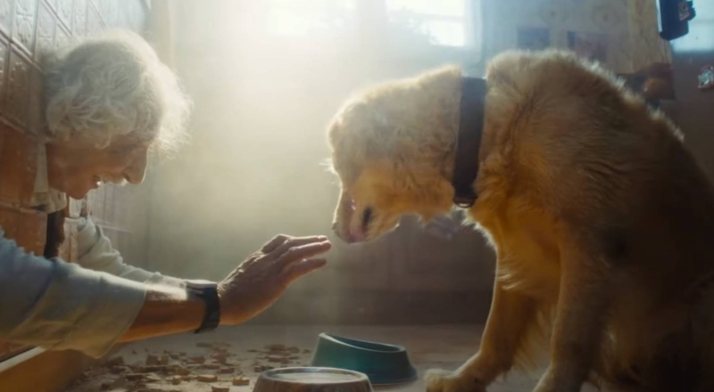 Musique de la pub la Poste 2023 – Seniors