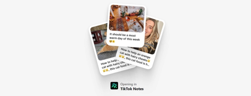 Le duel TikTok vs Instagram s’intensifie avec TikTok Notes