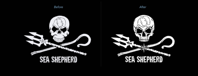 En plein conflit interne, Sea Shepherd revoit son logo