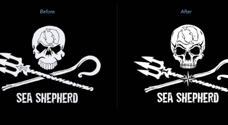 En plein conflit interne, Sea Shepherd revoit son logo
