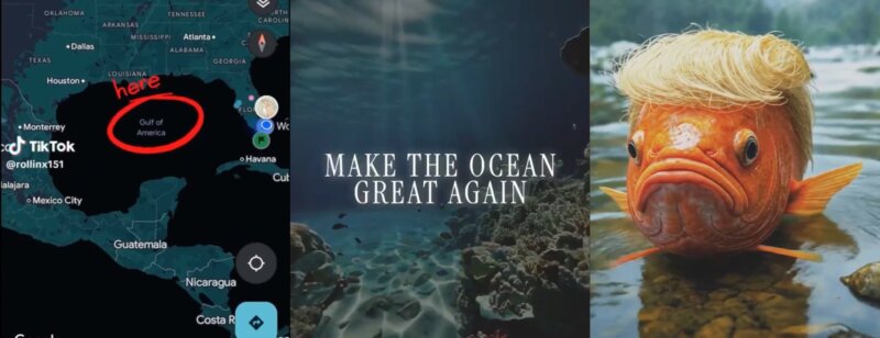 Make The Ocean Great Again : Surfrider et Becoming rebaptisent les mers