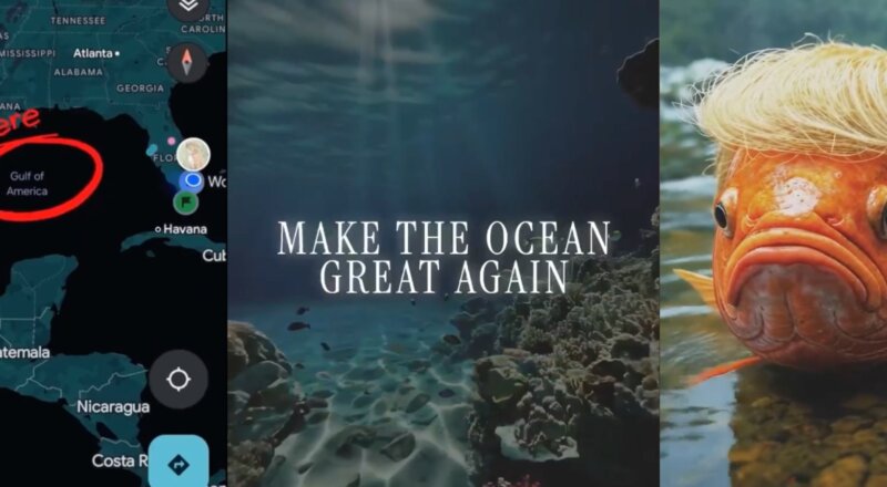 Make The Ocean Great Again : Surfrider et Becoming rebaptisent les mers