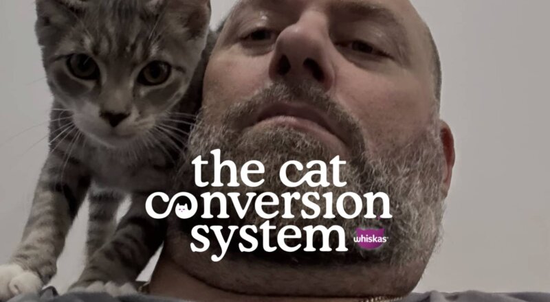 Whiskas cherche des « cat haters »… pour les faire changer d’avis
