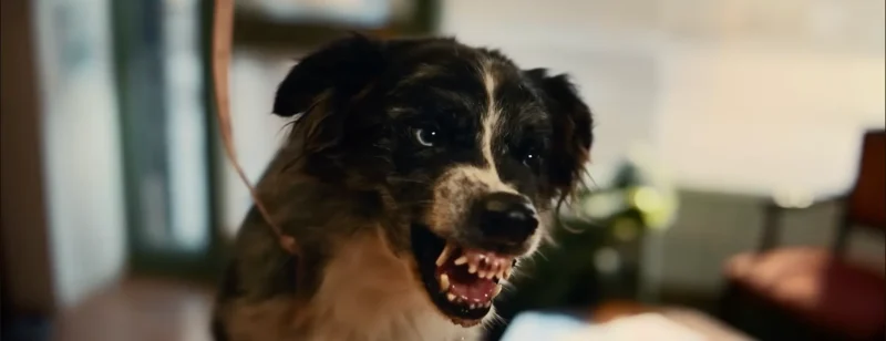 Agrégateur : Les publicités - top bforbank