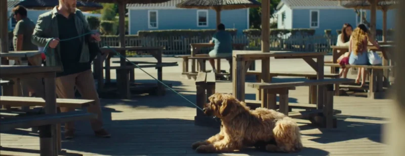 Agrégateur : Les publicités - top homair