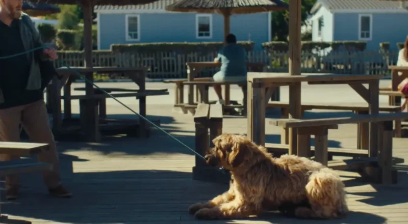 Musique de la pub Homair 2026
