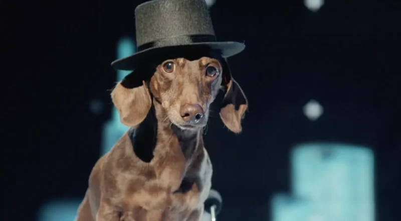 Musique de la pub Citroën 2026 – Elections 2034