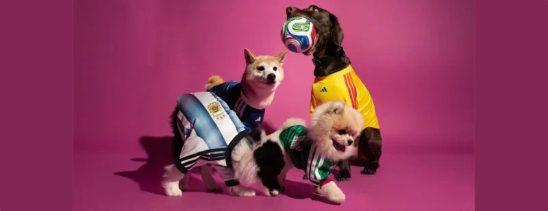 Adidas sort des maillots pour chiens pour la Coupe du Monde 2026