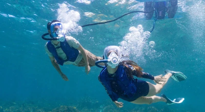 Quelle est la musique de la pub Decathlon EasyBreath Dive 2026 ?